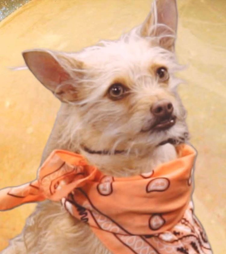 Lorena Leigh [unedited] Music&nbsp;Review