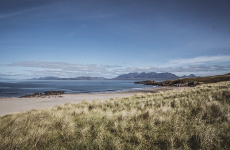 Worry Party [unedited] Music&nbsp;Review